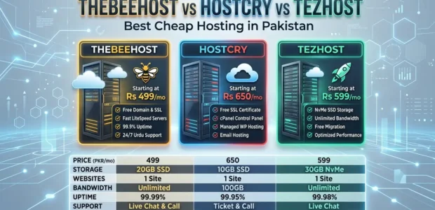 TheBeeHost vs HostCry vs TezHost - Best Cheap Hosting in Pakistan 